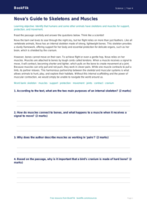 Free Skeleton And Muscles Comprehension | Grade 3 | Science | BookFlik
