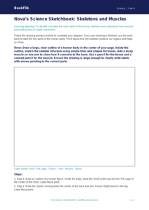 Science skeleton and muscles drawing sheet grade 3 core