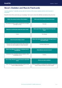 Science skeleton and muscles flashcards grade 3 core