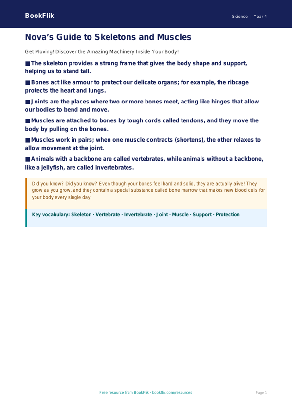 Free Skeleton and Muscles Poster | Grade 3 | Science | BookFlik worksheet preview — Science Skeleton And Muscles