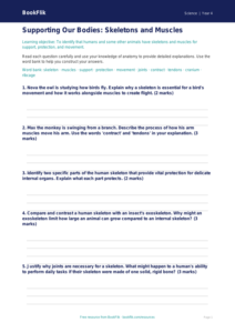 Free Skeleton And Muscles Worksheet | Grade 3 | Science | BookFlik
