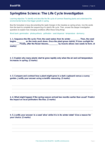 Free Spring Science Activity Sheet | Grade 3 | Science | BookFlik