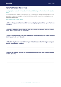 Free Teeth Activity Sheet | Grade 3 | Science | BookFlik