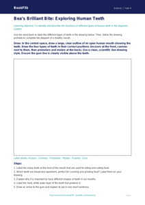 Free Teeth Drawing Sheet | Grade 3 | Science | BookFlik