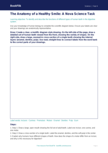 Free Teeth Drawing Sheet | Grade 3 | Science | BookFlik