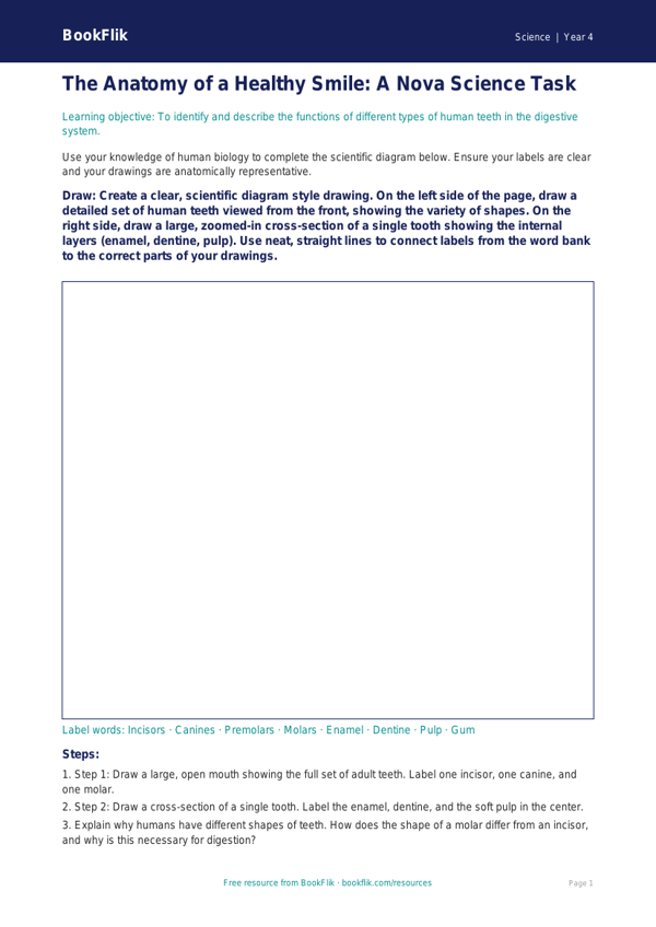 Free Teeth Drawing Sheet | Grade 3 | Science | BookFlik worksheet preview — Science Teeth