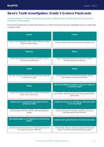 Free Teeth Flashcards | Grade 3 | Science | BookFlik