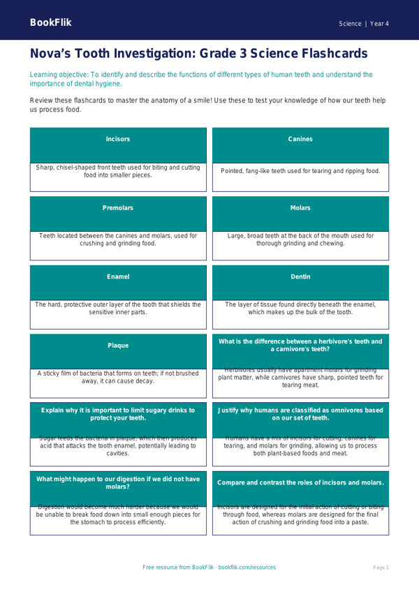 Free Teeth Flashcards | Grade 3 | Science | BookFlik worksheet preview — Science Teeth