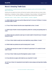 Free Teeth Quiz | Grade 3 | Science | BookFlik