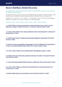 Free Teeth Quiz | Grade 3 | Science | BookFlik