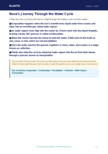 Free Water Cycle Poster | Grade 3 | Science | BookFlik