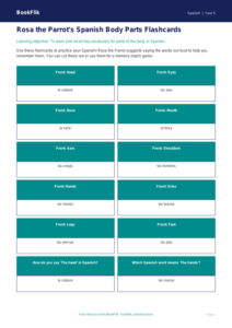 Free Spanish Body Parts Flashcards | Grade 4 | BookFlik