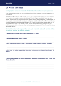 Free Food Comprehension | Grade 4 | Spanish | BookFlik