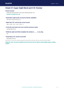 Free 3A Track Sheet | Kindergarten | ELA | BookFlik