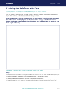 Free Rainforests Drawing Sheet | Year 4 | Geography | BookFlik