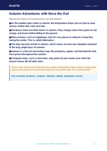 Free Autumn Science Poster | Year 1 | Science | BookFlik