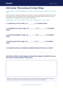 Free Reproduction Activity Sheet | Year 5 | Science | BookFlik