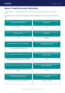 Free Teeth Flashcards | Year 5 Science | BookFlik