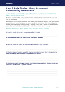 Free Remembrance Day Assessment | Class 1 | Social Studies / History | BookFlik