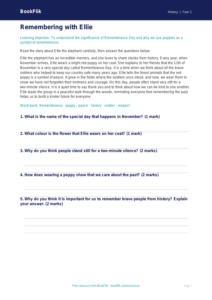 Free Remembrance Day Comprehension | Class 1 | Social Studies / History | BookFlik