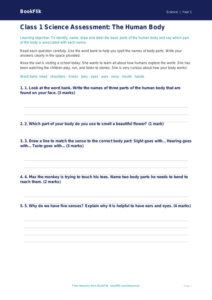 Human Body Assessment for Class 1 | CBSE Science Worksheet