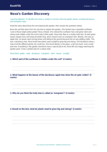 Free Plants Comprehension | Class 1 | Science | BookFlik