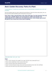 Free Plants Drawing Sheet | Class 1 | Science | BookFlik