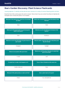 Free Plants Flashcards | Class 1 Science | CBSE Curriculum | BookFlik