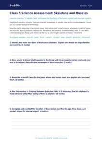Free Skeleton And Muscles Assessment | Class 5 | Science | BookFlik