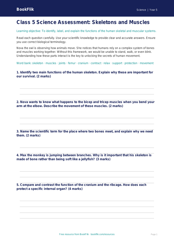 Free Skeleton And Muscles Assessment | Class 5 | Science | BookFlik worksheet preview — Science Skeleton And Muscles