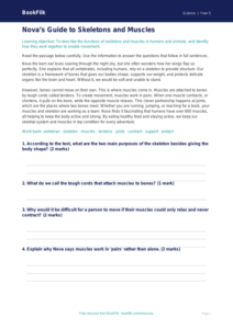 Free Skeleton And Muscles Comprehension | Class 5 | Science | BookFlik