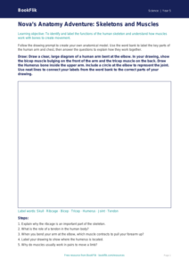 Free Skeleton And Muscles Drawing Sheet | Class 5 | Science | BookFlik