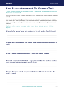 Teeth Assessment Class 5 Free | Science Worksheet | BookFlik