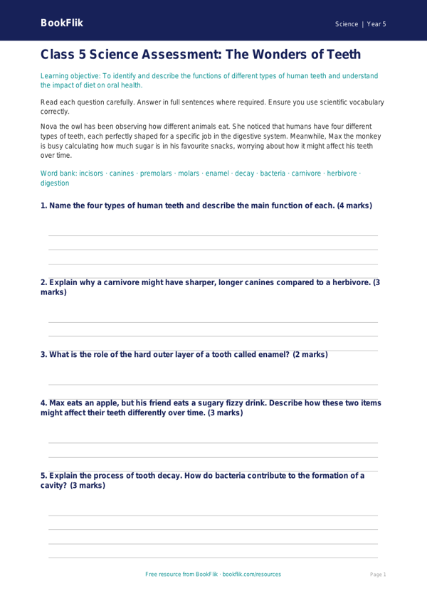 Teeth Assessment Class 5 Free | Science Worksheet | BookFlik worksheet preview — Science Teeth