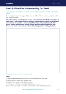 Free Teeth Drawing Sheet | Class 5 | Science | BookFlik