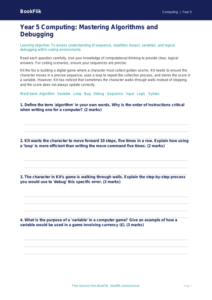 Free Coding Assessment | Year 5 Greater Depth | BookFlik