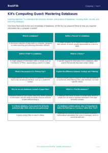 Free Databases Flashcards | Year 5 Greater Depth | BookFlik