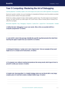 Free Debugging Assessment | Year 5 Greater Depth | BookFlik