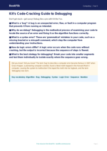 Free Debugging Poster | Year 5 Greater Depth | BookFlik