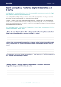 Free E-Safety Assessment | Year 5 Greater Depth | BookFlik