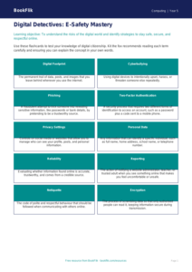 Free E-Safety Flashcards | Year 5 Greater Depth | BookFlik