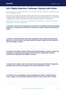 Free Internet Safety Activity Sheet | Year 5 Greater Depth | BookFlik