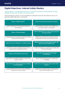 Free Internet Safety Flashcards | Year 5 Greater Depth | BookFlik