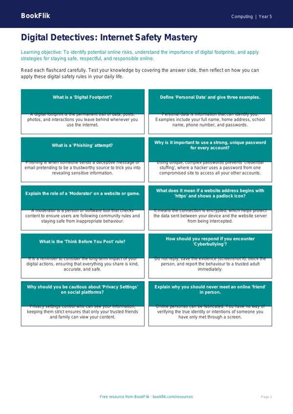 Free Internet Safety Flashcards | Year 5 Greater Depth | BookFlik worksheet preview — Computing Internet Safety