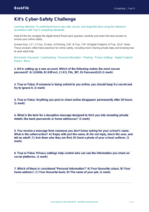 Free Internet Safety Quiz | Year 5 Greater Depth | BookFlik