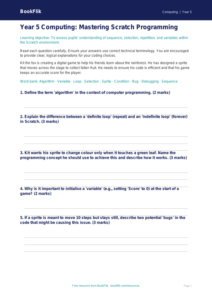 Free Scratch Assessment | Year 5 Greater Depth | BookFlik