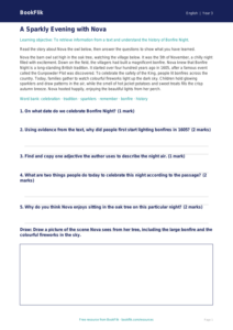 Free Bonfire Night Track Sheet | Year 3 Core | BookFlik