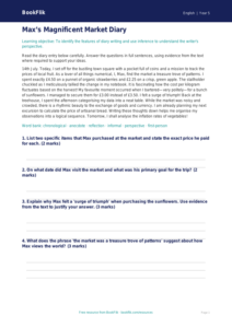 Free Diary Writing Comprehension | Year 5 Greater Depth | BookFlik