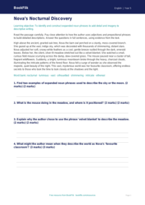 Free Expanded Noun Phrases Comprehension | Year 5 Greater Depth | BookFlik