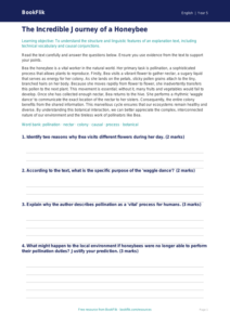 Free Explanation Texts Comprehension | Year 5 Greater Depth | BookFlik
